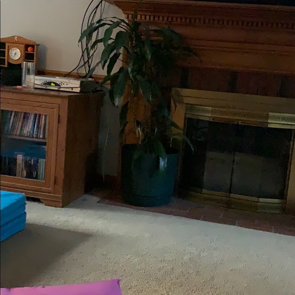 Meet your Posher, Elizabeth - Picture 1 of 1